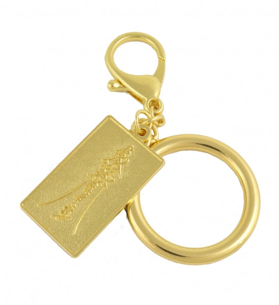 Tiger Taming Amulet Keychain image 1