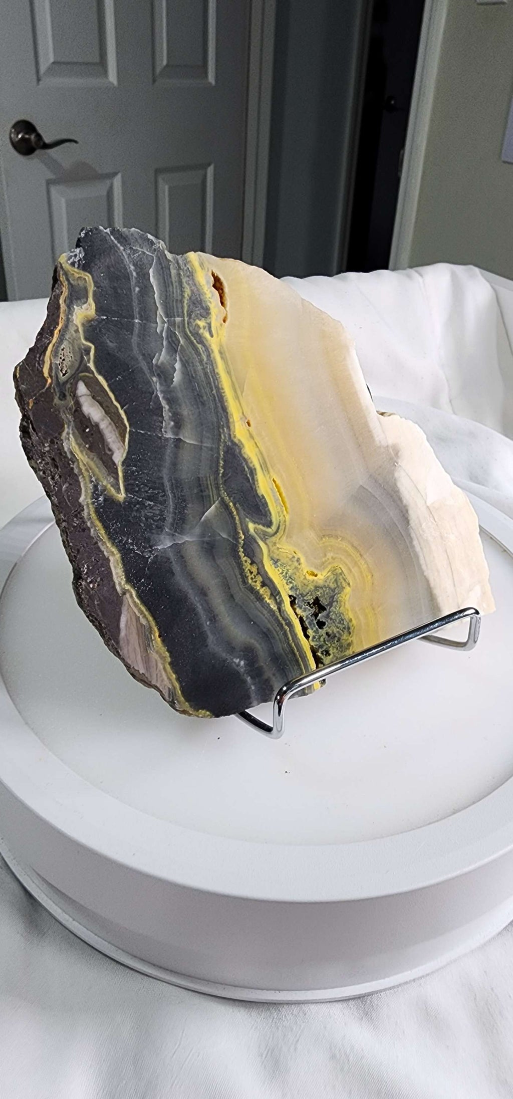 Bumblebee Jasper  image 12