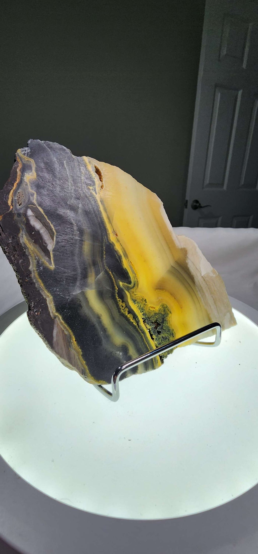 Bumblebee Jasper  image 1