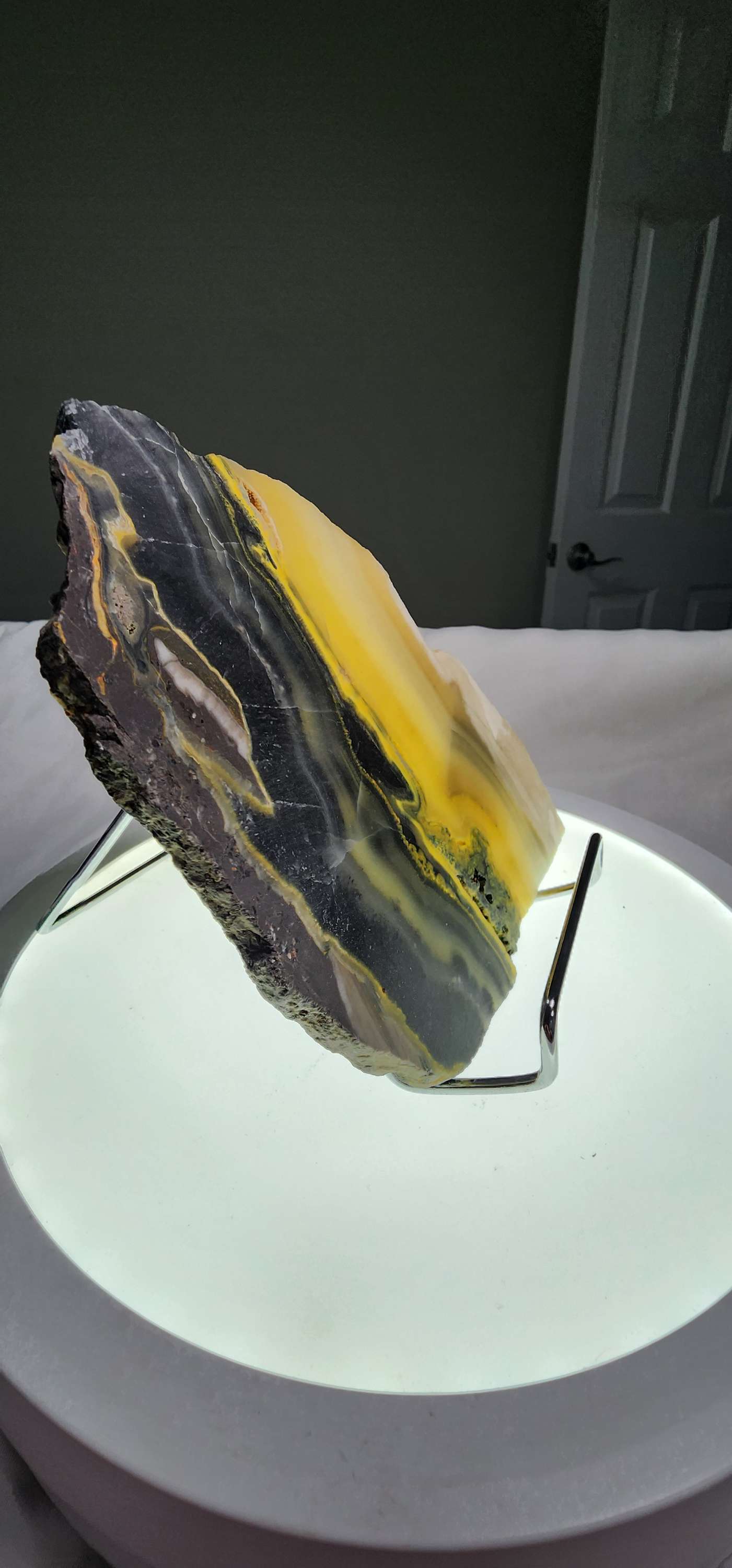 Bumblebee Jasper  image 8