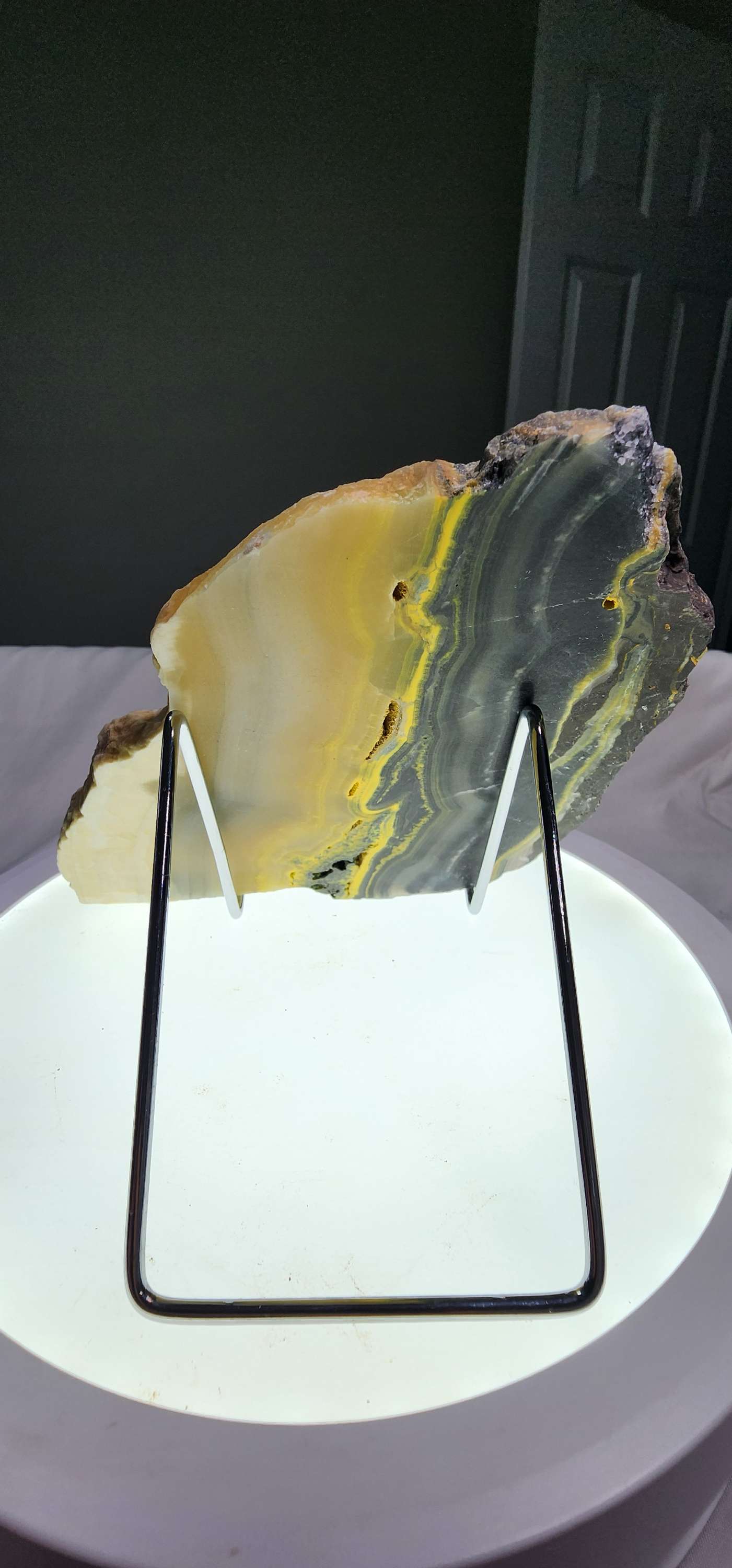 Bumblebee Jasper  image 6