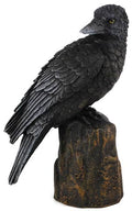 Backward Looking Raven 6" Tall image 0