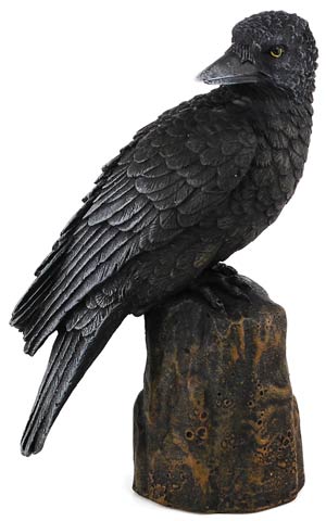 Backward Looking Raven 6" Tall image 0