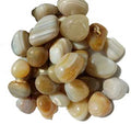 1 Lb Banded Agate Tumbled Stones image 0