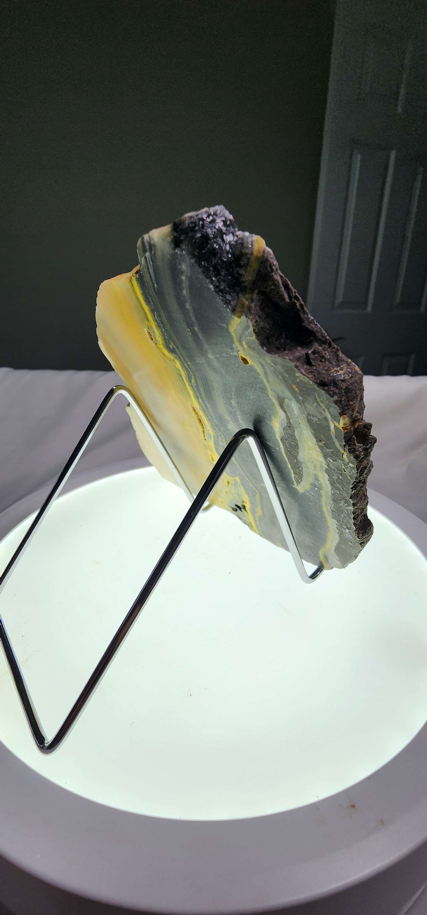 Bumblebee Jasper  image 7