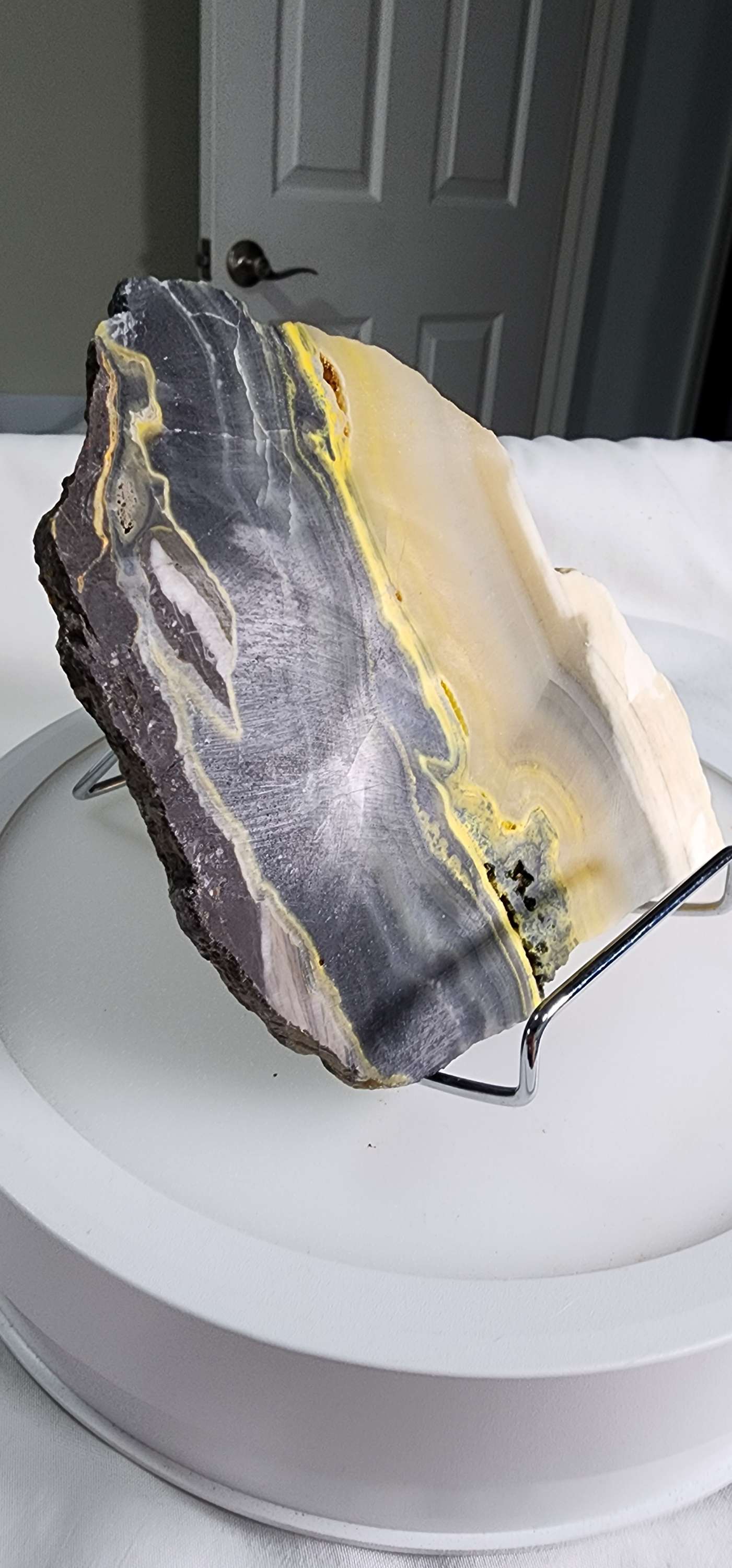 Bumblebee Jasper  image 11