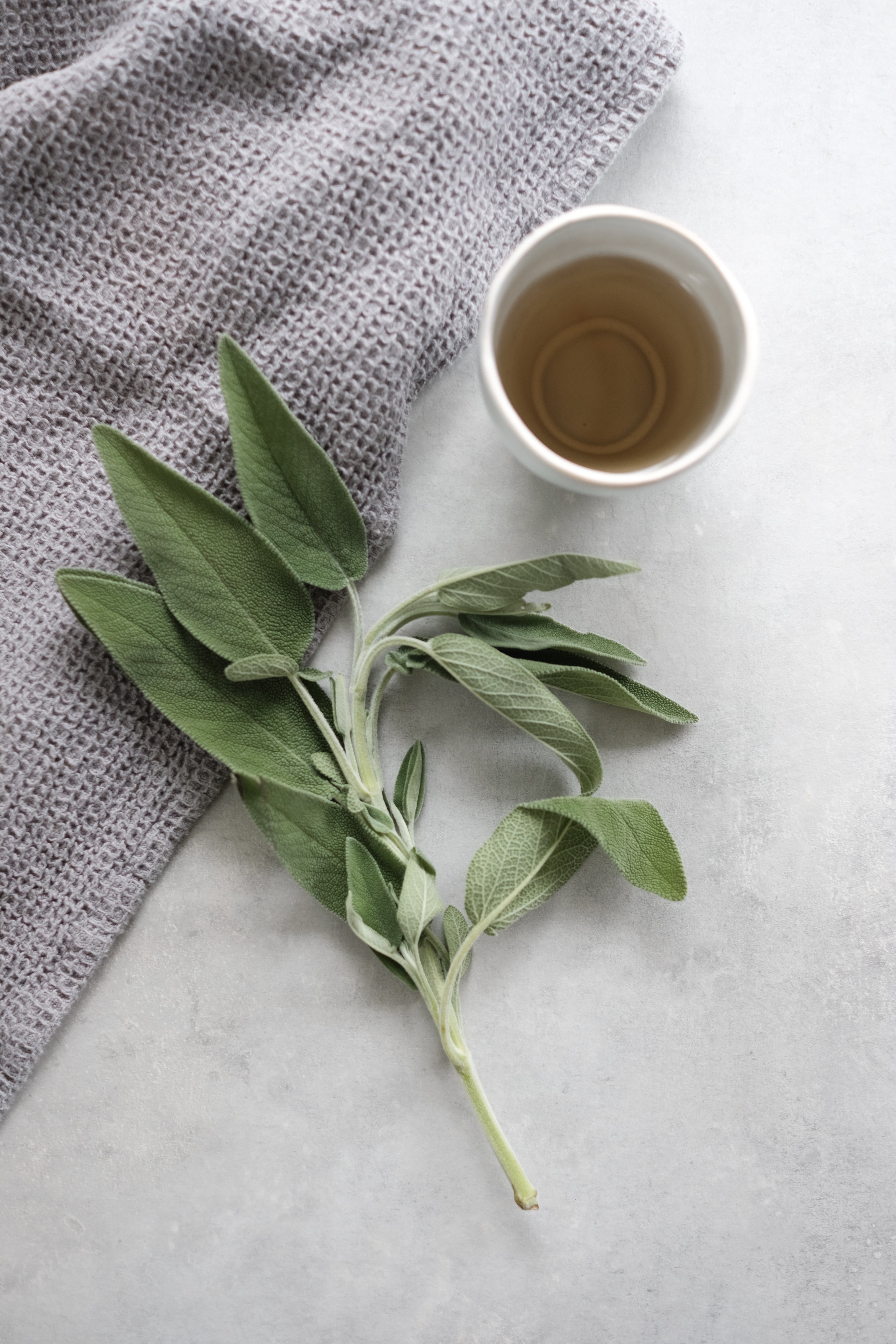 Herbal Workshop image 0