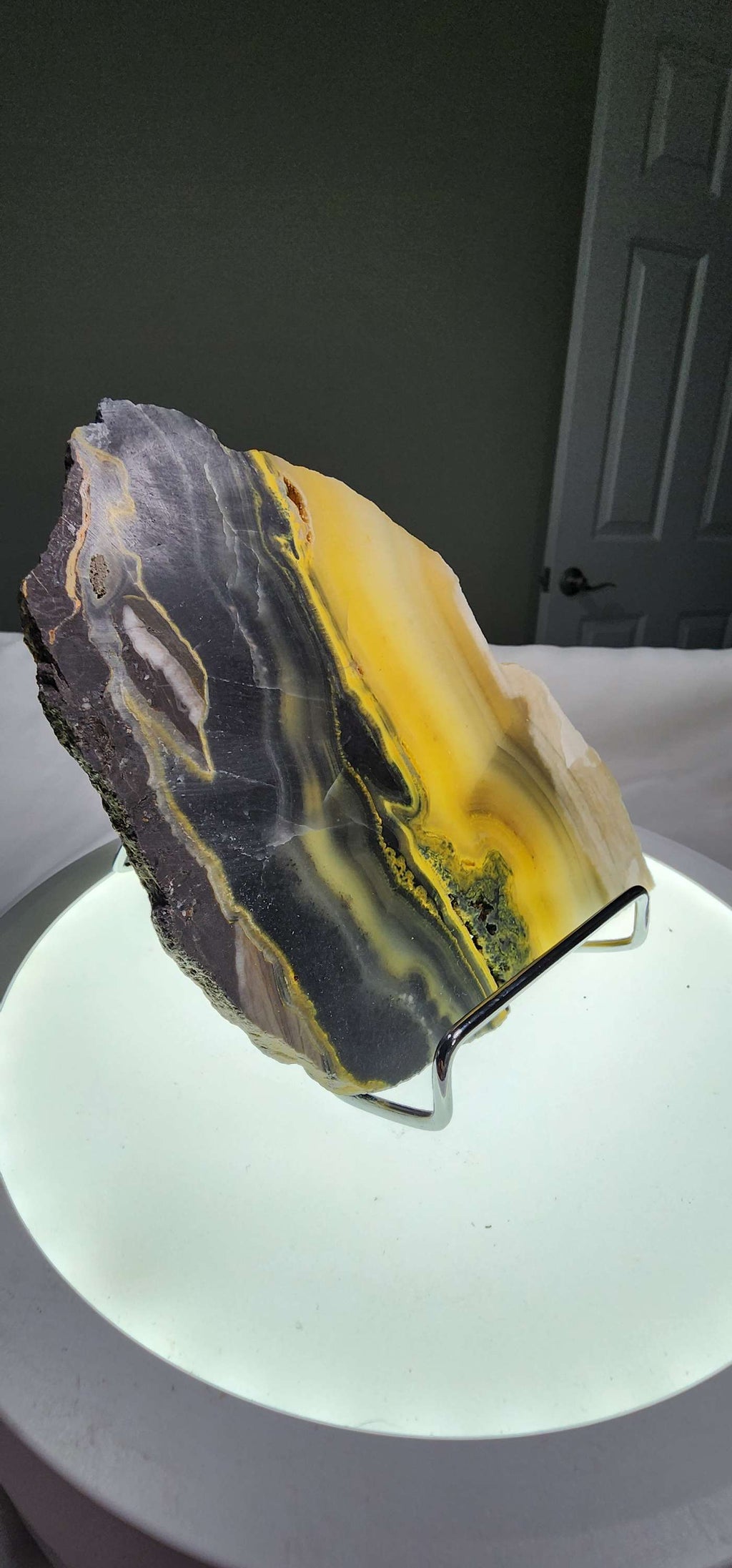 Bumblebee Jasper  image 0