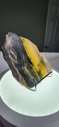 Bumblebee Jasper  image 0