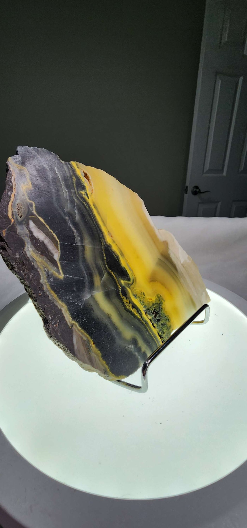 Bumblebee Jasper  image 9